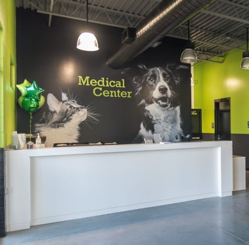 Animal Protection Organization «Greenville Humane Society», reviews and photos