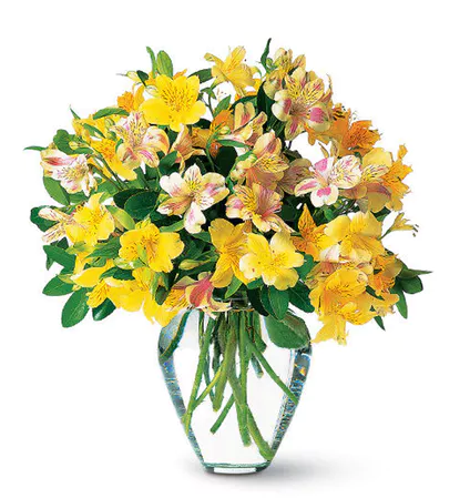 Florist «River Dell Flowers & Gifts», reviews and photos, 241 Kinderkamack Rd, Oradell, NJ 07649, USA