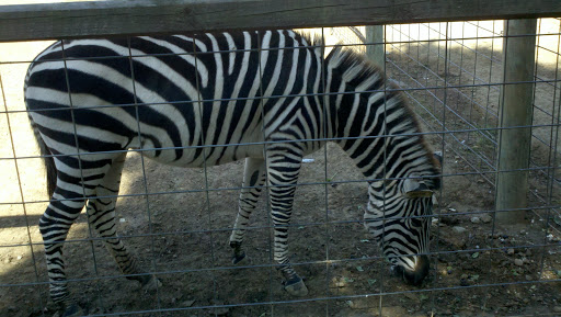 Zoo «Little Ponderosa Zoo and Rescue», reviews and photos, 629 Granite Rd, Clinton, TN 37716, USA