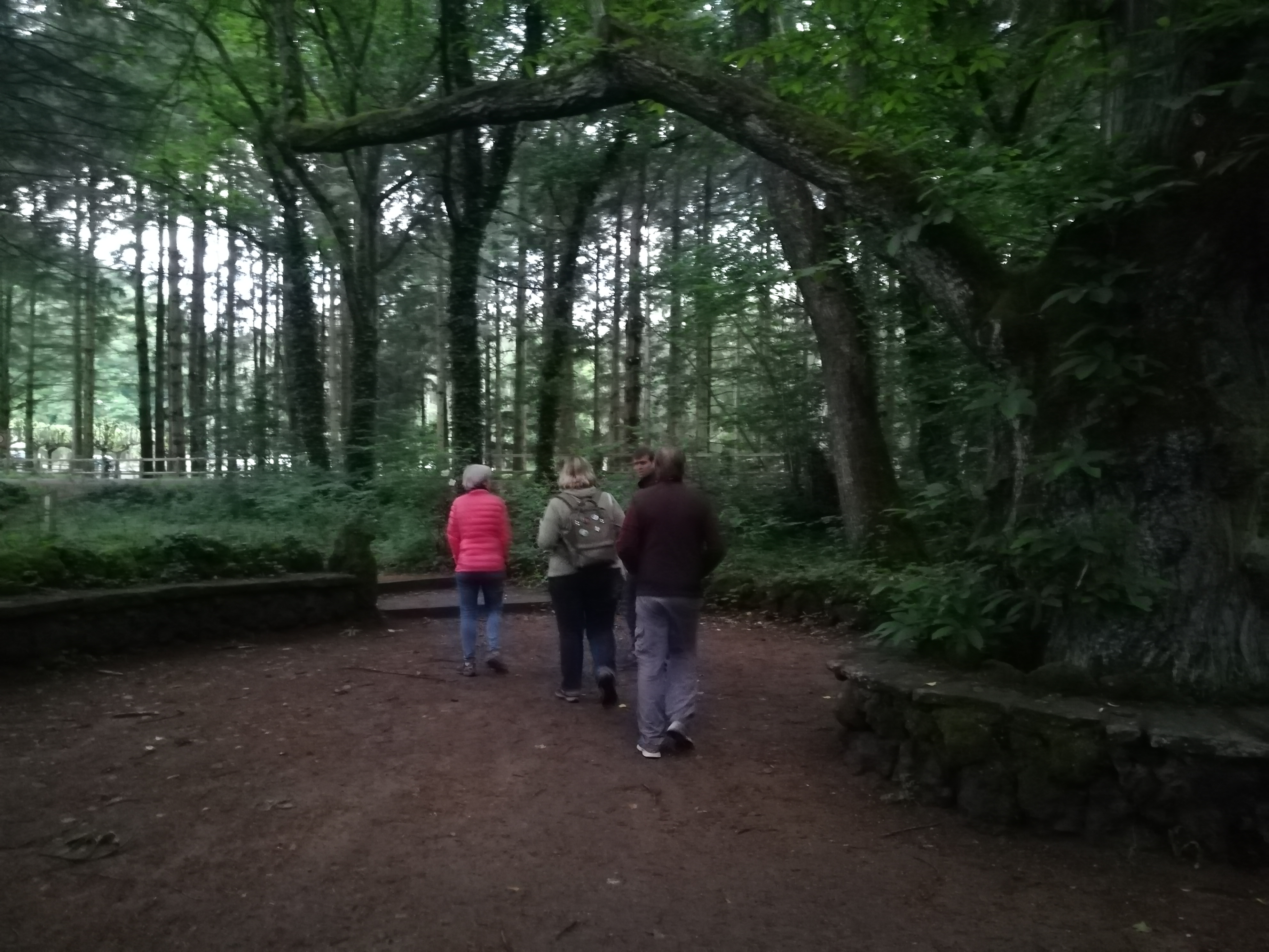 Photo n° 1 de l'avis de Nathalie.e fait le 17/06/2019 à 19:40
