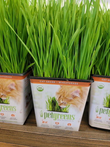 Pet Supply Store «Petco Animal Supplies», reviews and photos, 7901 Lansdowne Ave #1009a, Upper Darby, PA 19082, USA