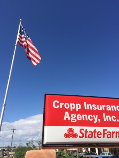 Insurance Agency «Terry Cropp State Farm Insurance Agency», reviews and photos