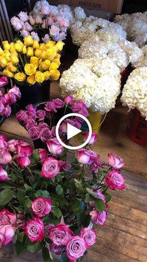 Florist «FMI Farms - Flower Wholesaler», reviews and photos, 9607 NW 33rd St, Doral, FL 33172, USA