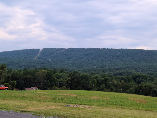 Nature Preserve «Boyd Big Tree Preserve Conservation Area», reviews and photos, Fishing Creek Valley Rd, Harrisburg, PA 17112, USA