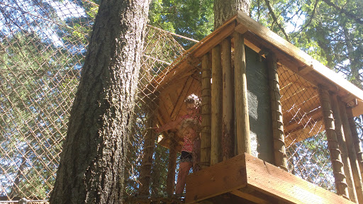 Tourist Attraction «Tree to Tree Adventure Park», reviews and photos, 2975 SW Nelson Rd, Gaston, OR 97119, USA