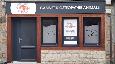 Sarah Motelle Ostéopathe animalier à Ducey-les-Chéris