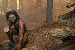 Monaghan Caveman Exhibition. image