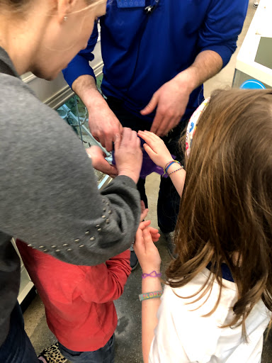 Pet Supply Store «PetSmart», reviews and photos, 291 Skokie Blvd, Northbrook, IL 60062, USA