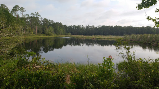 Nature Preserve «Green Swamp Wilderness Preserve», reviews and photos, 28057 FL-471, Webster, FL 33597, USA