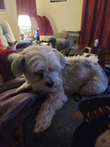 Pet Supply Store «Nature Boys Farm & Pet Supply», reviews and photos, 17022 Pacific Ave S, Spanaway, WA 98387, USA