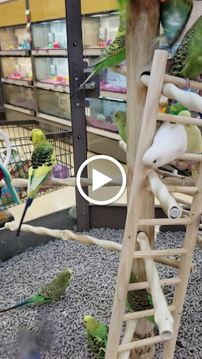 Pet Supply Store «Petco Animal Supplies», reviews and photos, 1412 S Main Chapel Way, Gambrills, MD 21054, USA