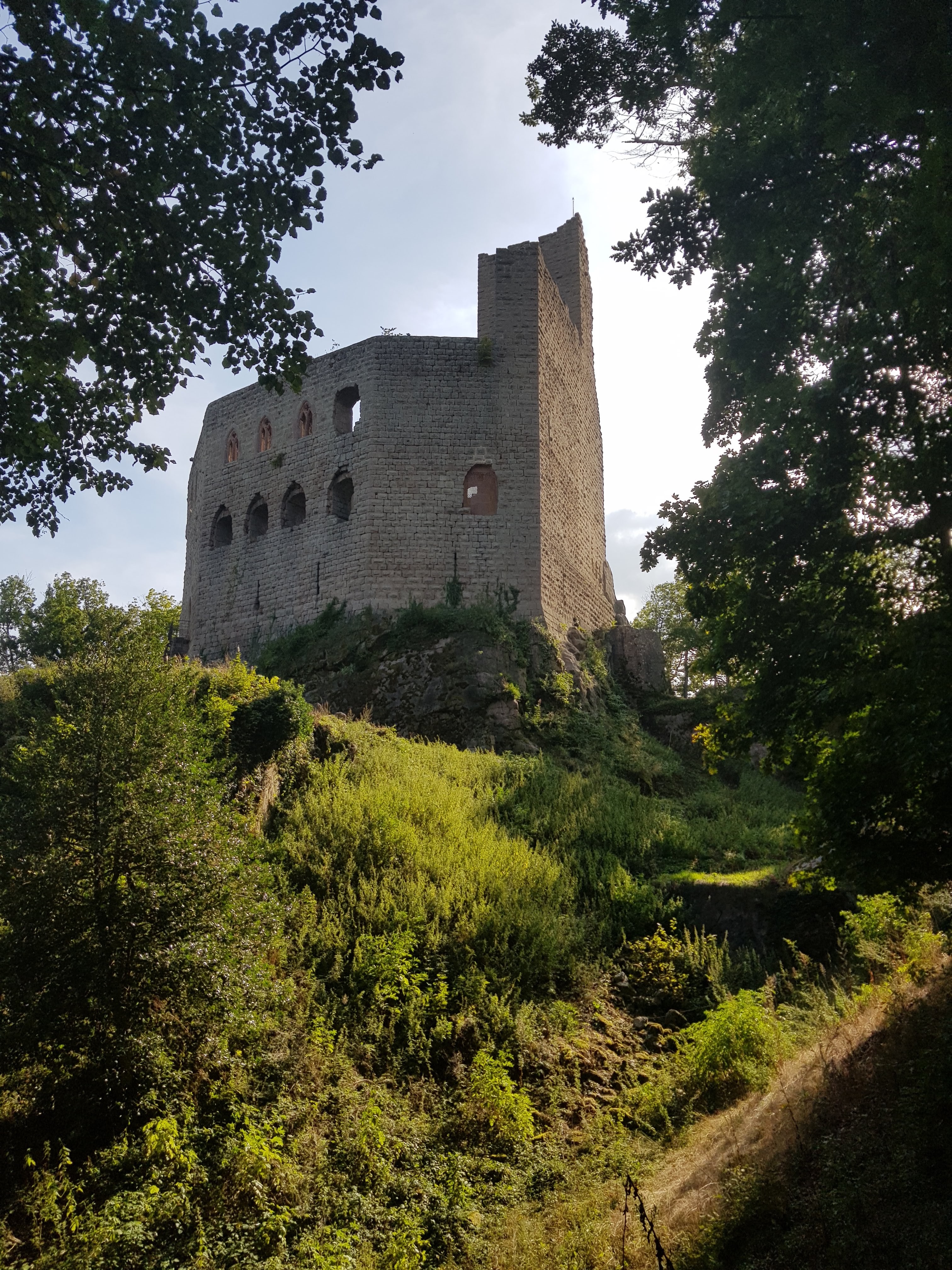 Photo n° 1 de l'avis de Christophe.E fait le 21/08/2019 à 16:32