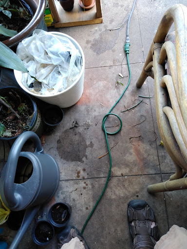 Hardware Store «Ace Hardware», reviews and photos, 3636 S Washington Ave, Titusville, FL 32780, USA