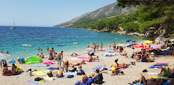 Zlatni rat Plajı'in fotoğrafı kısmen tatil bölgesi