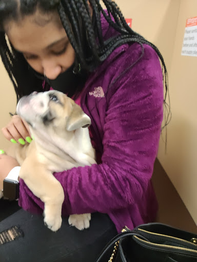 Pet Store «Petland Hilliard», reviews and photos, 5253 Nike Dr, Hilliard, OH 43026, USA