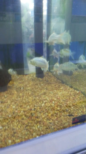 Pet Supply Store «Petco Animal Supplies», reviews and photos, 597 Hebron Rd #2, Heath, OH 43056, USA