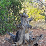 Photo n°1 de l'avis de Simonetta.r fait le 18/08/2023 à 18:06 sur le  Capo est à Siniscola