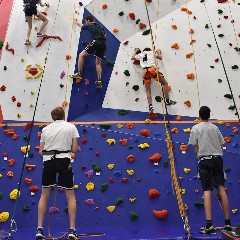 Lycée Climbing Wall