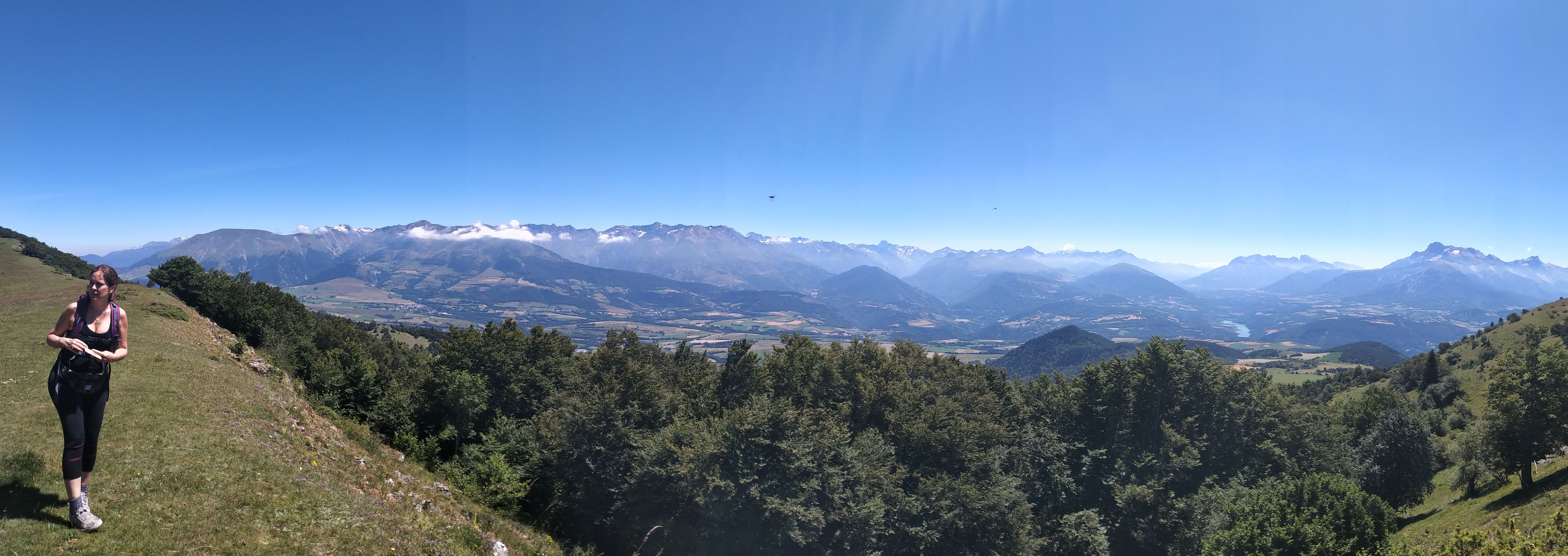 Photo n° 6 de l'avis de Luna.e fait le 15/07/2020 à 14:45