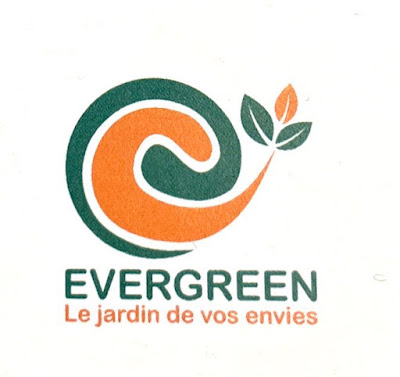 Evergreen à Bachant