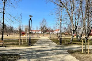 Ogród Saski image