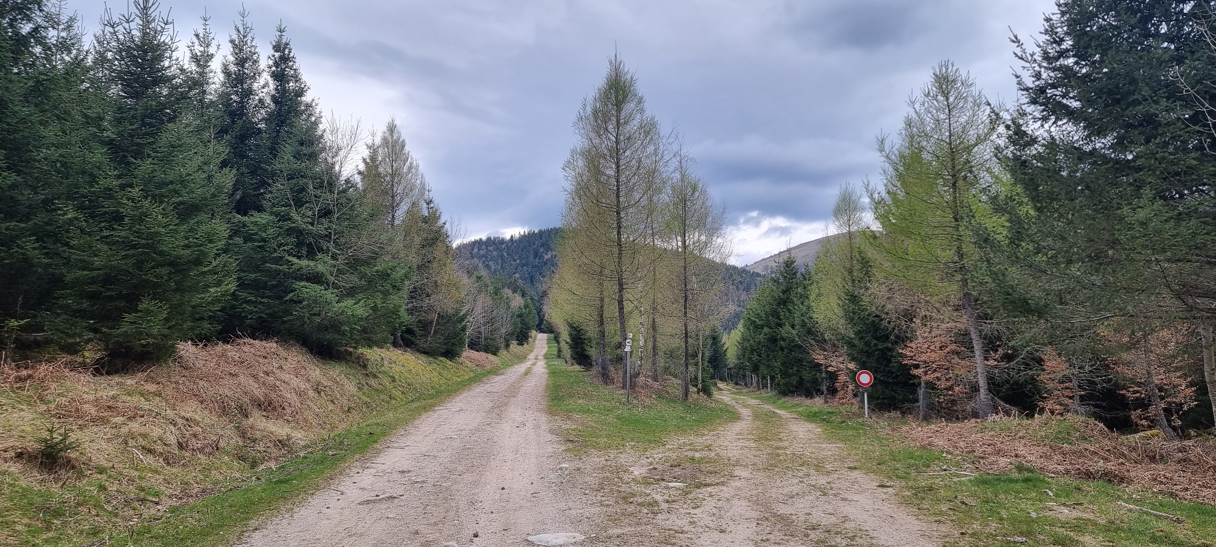 Photo n° 8 de l'avis de Laugal.a fait le 03/05/2023 à 16:28