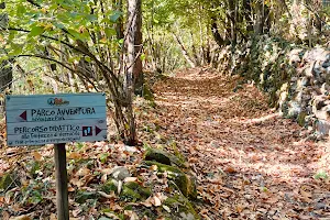 Selva del Buffardello Adventure Park image