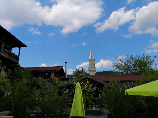 507, 6674 Мъдрец