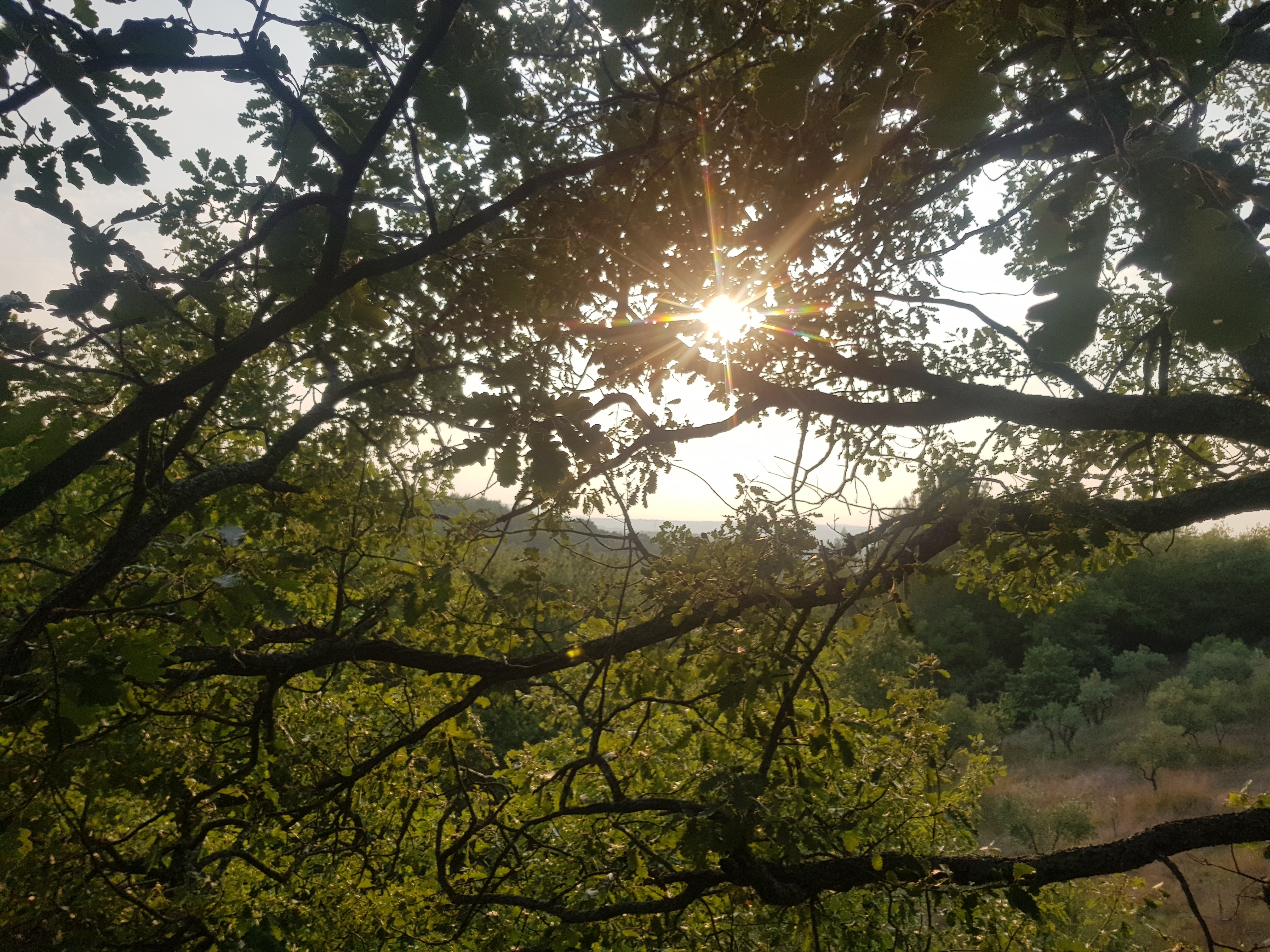 Photo n° 1 de l'avis de Abderrahmane.h fait le 26/09/2021 à 16:13