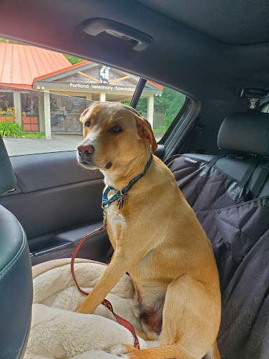 2255 Congress St, Portland, ME 04102, USA