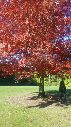 Park «Volunteer Park», reviews and photos, 1247 15th Ave E, Seattle, WA 98112, USA