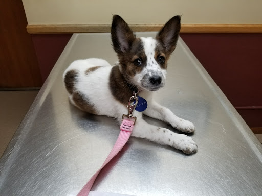 5100 Central Ave NE, Columbia Heights, MN 55421, USA