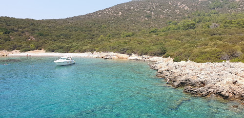 Aquarius Bay photo #2