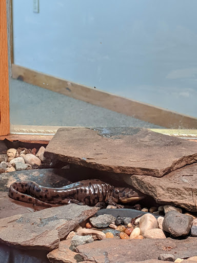 Nature Preserve «DeGraaf Nature Center», reviews and photos, 600 Graafschap Rd, Holland, MI 49423, USA