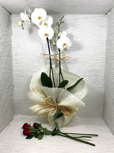 Muğla Beğen Çiçekçilik