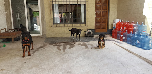 Spa Canino Nicky Pet´s (estetica canina y guarderia)