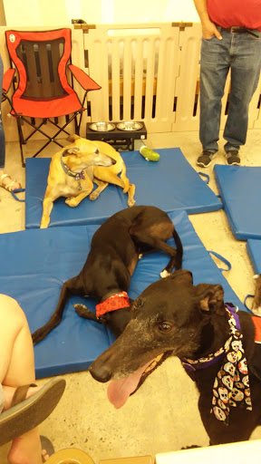 Pet Supply Store «Petco Animal Supplies», reviews and photos, 5961 Warner Ave, Huntington Beach, CA 92649, USA