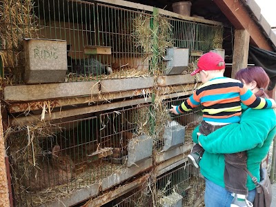 Photos of farmyard
