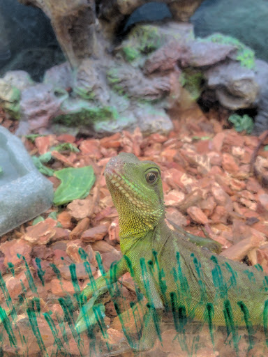 Pet Supply Store «Petco Animal Supplies», reviews and photos, 911 N Stratford Rd c, Moses Lake, WA 98837, USA