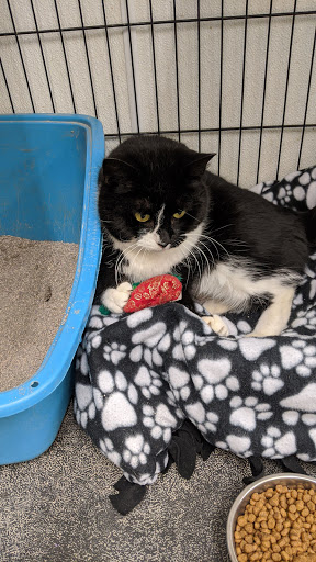 Pet Supply Store «Pet Supplies Plus», reviews and photos, 9630 Transit Rd Suite 400, East Amherst, NY 14051, USA