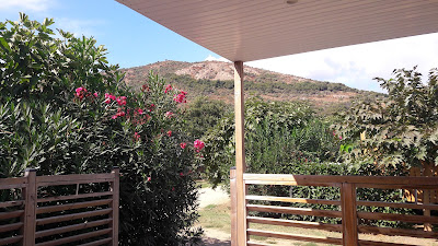La Palmeraie à Vico