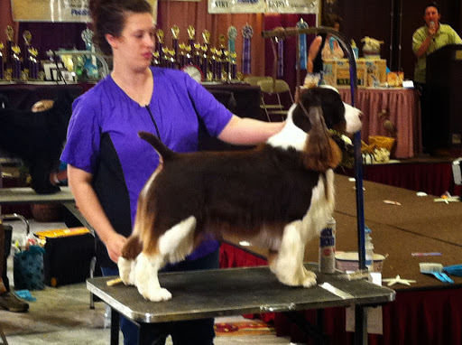 Boutique «Fetching Canine Grooming and Boutique», reviews and photos, 1490 W State Rd 434, Longwood, FL 32750, USA