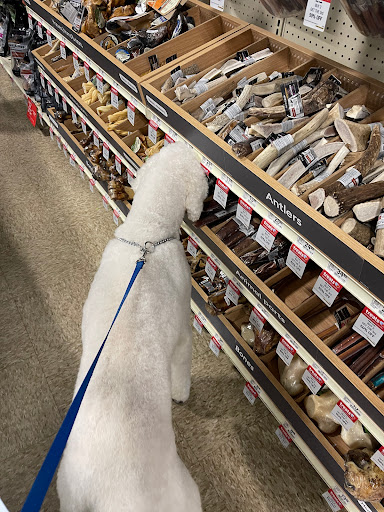 Pet Supply Store «PetSmart», reviews and photos, 13241 Gateway Center Dr, Gainesville, VA 20155, USA