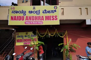 Naidu Andhra Mess image