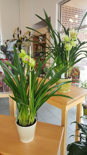 Florist «1-800Flowers/Colonial», reviews and photos, 1430 High St #1106, Williamsburg, VA 23185, USA