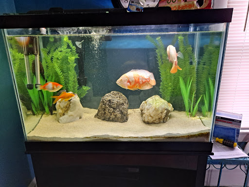 Pet Supply Store «Pet Supplies Plus», reviews and photos, 3100 Manchester Rd, Akron, OH 44319, USA