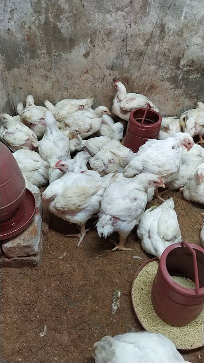 এ,কে চিকেন সপ ২