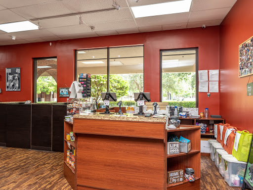 Pet Store «Petland of Plantation», reviews and photos, 801 S University Dr, Plantation, FL 33324, USA