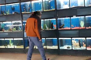 Tony’s Aquarium image