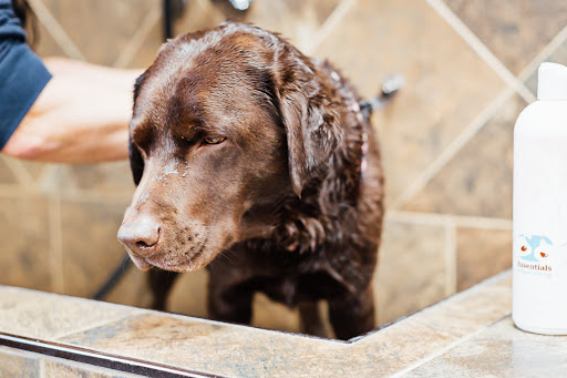 Pet Store «Pet Valu», reviews and photos, 1061 W Main St #12, Branford, CT 06405, USA